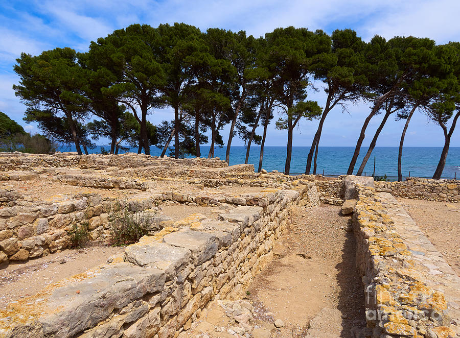 Ruins of the Greek City of Empuries in Spain Photograph by Louise Heusinkveld