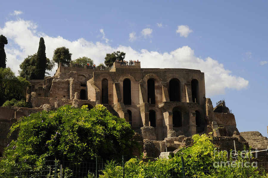 Ruins of the Palatine Hill Photograph by Brenda Kean