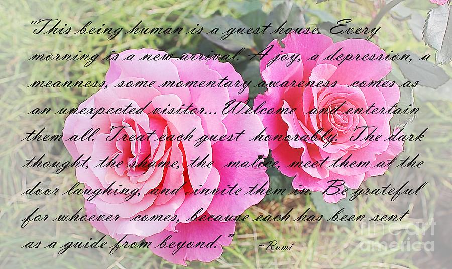 Rumi Quote - Roses - Guide Photograph by Barbara A Griffin