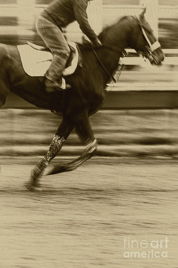 Horse Photograph - Run by Margie Hurwich