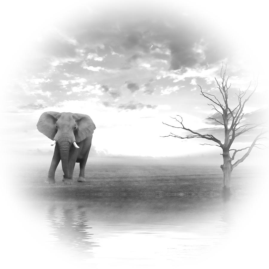 Elephant Digital Art - Run to water 2 by Sharon Lisa Clarke
