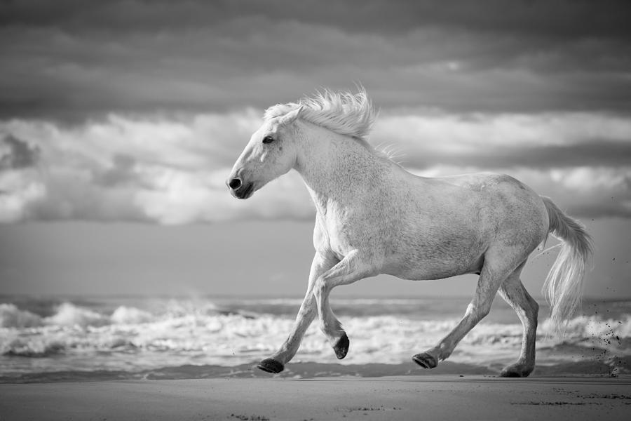 Run White Horses V Photograph by Tim Booth - Fine Art America