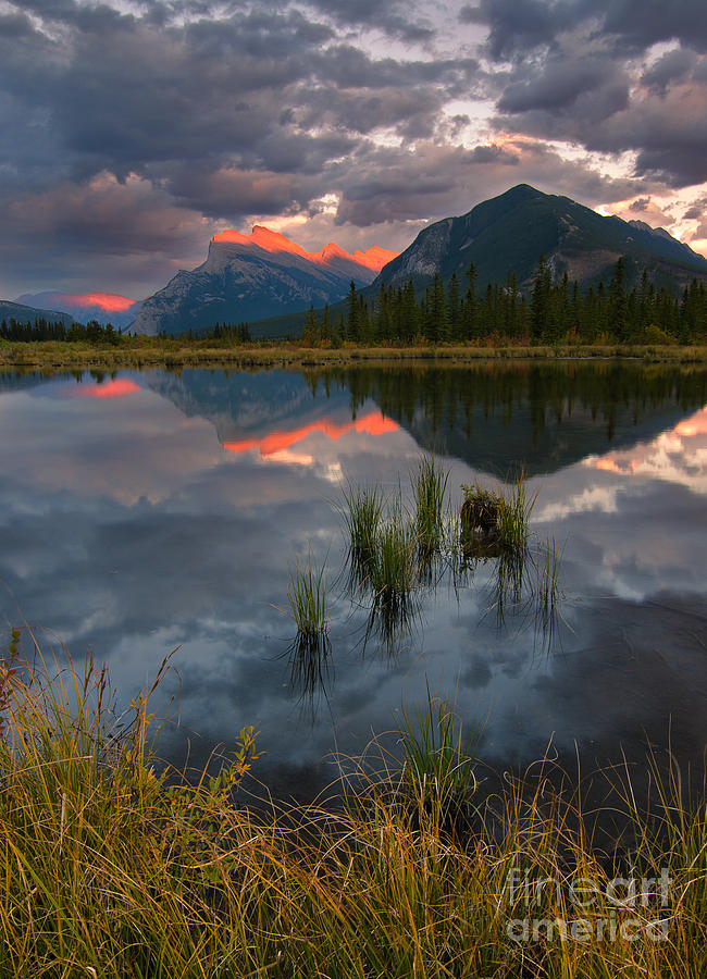 Rundle Glow Photograph by Shannon Carson