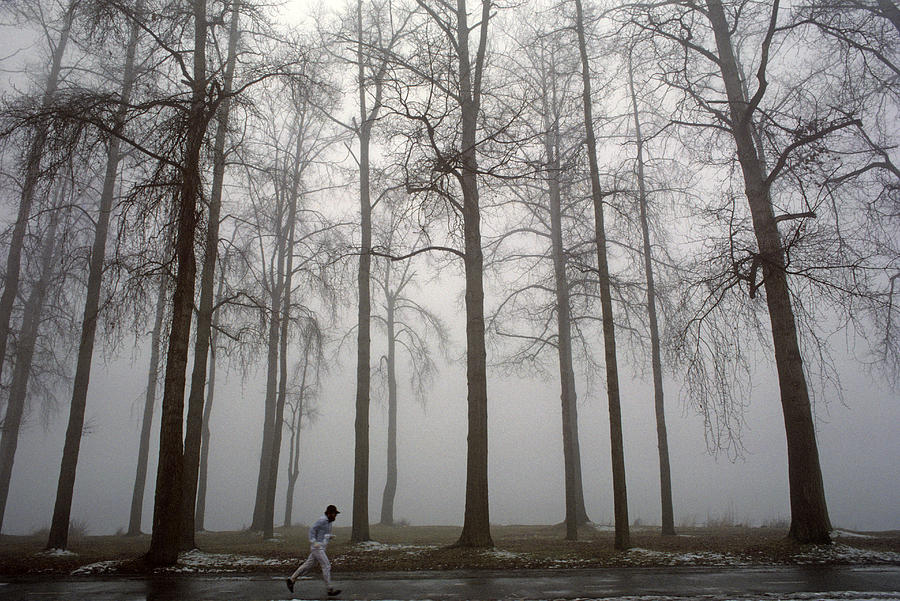 Runner Along Path In Fog And Cold With Tall Trees Photograph