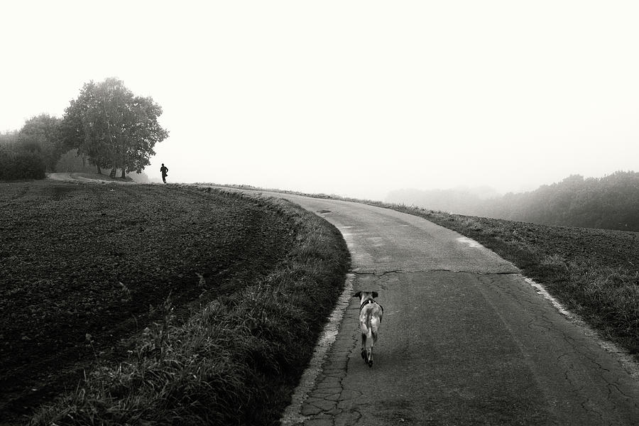 Dog Photograph - Runners by Elisabeth Wehrmann