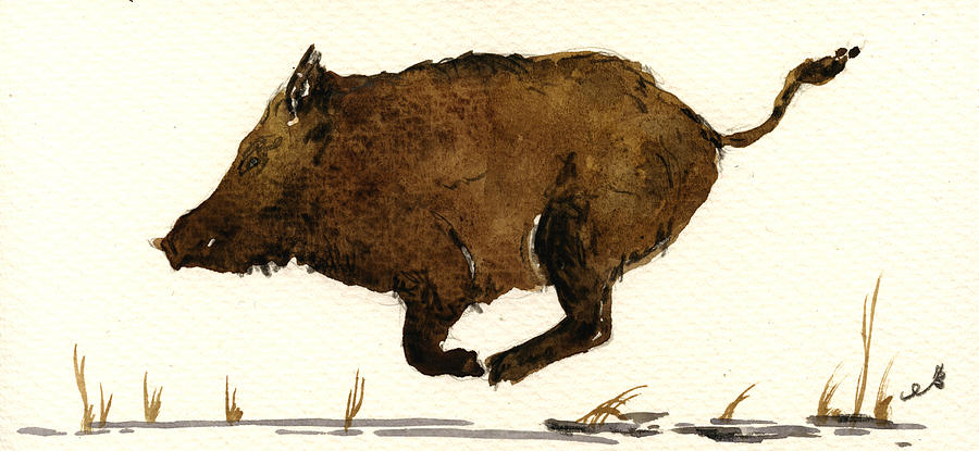 Wildlife Painting - Running boar by Juan  Bosco