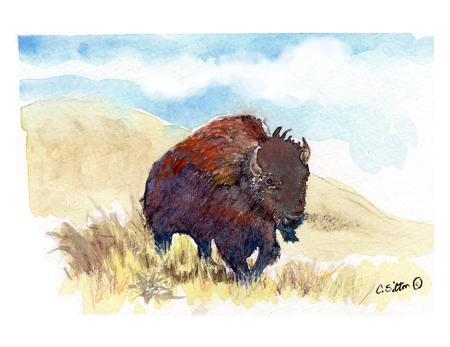 Running Buffalo Painting by C Sitton