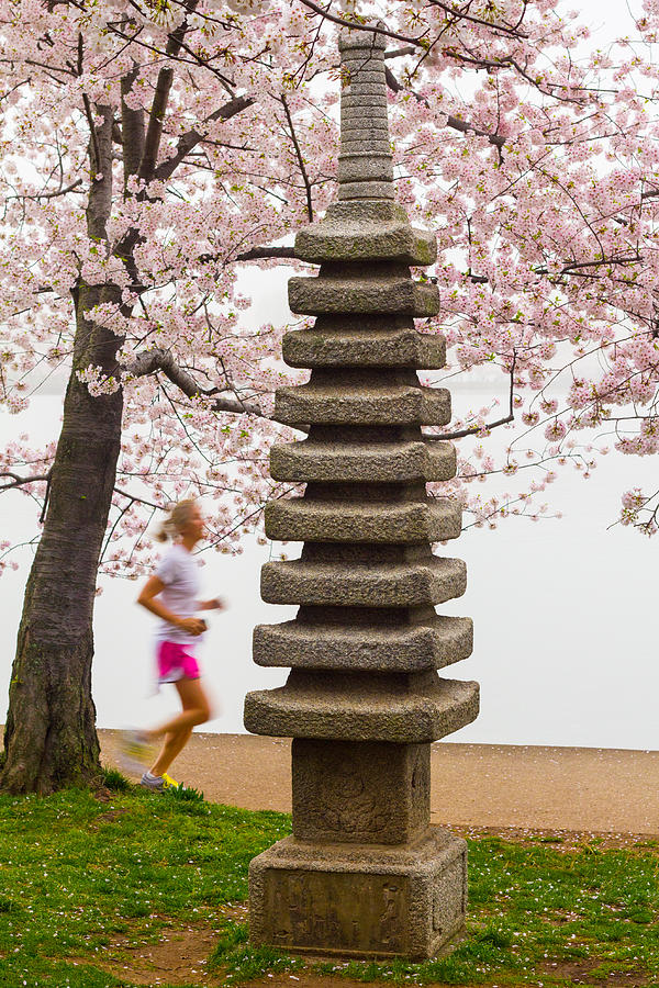 Running by the Tidal Basin Photograph by Leah Palmer