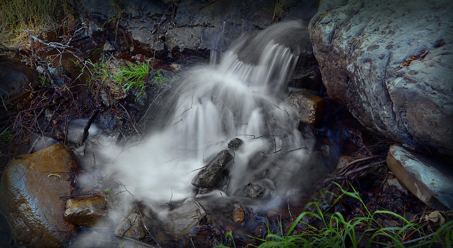 Running Creek Photograph by Craig Incardone