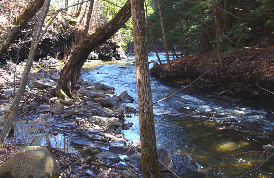 Running Creek In Upstate Ny Photograph by Edward Kocienski Fine Art