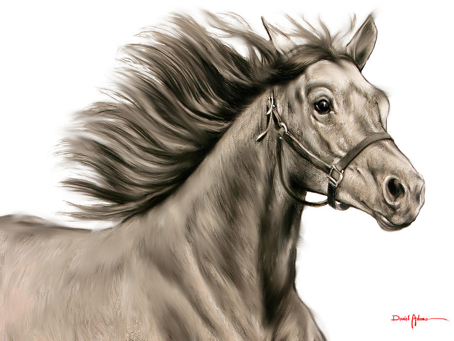 Horse Painting - DA146 Running Free by Daniel Adams by Daniel Adams