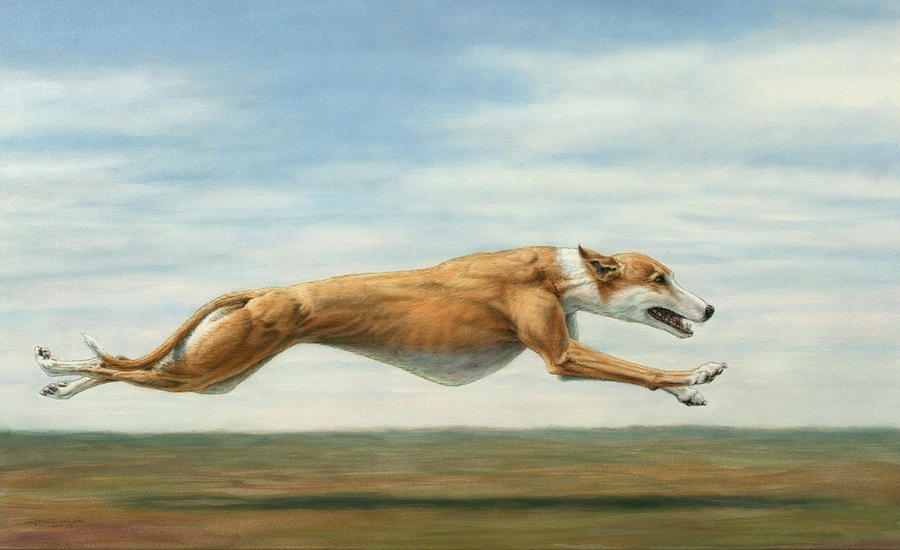 Dog Painting - Running Free by James W Johnson
