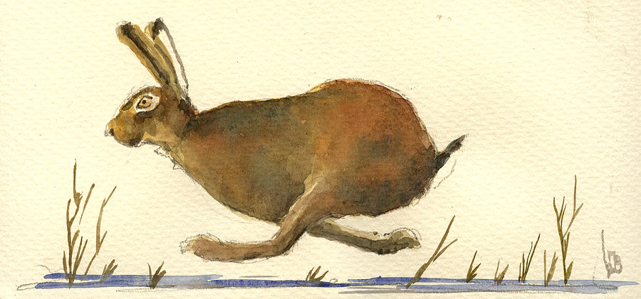 Nature Painting - Running hare by Juan  Bosco
