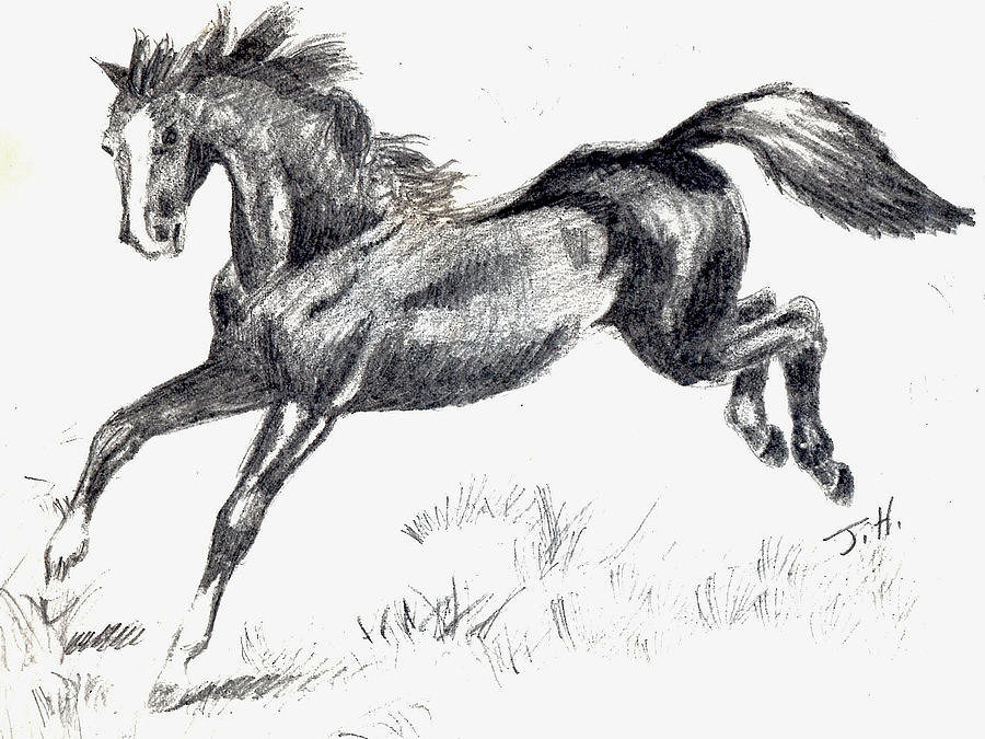 Running horse Drawing by Joy Reese