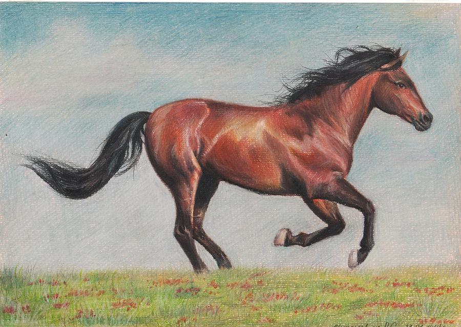 RUNNING HORSES Drawing by Nicolas GOIA | Saatchi Art