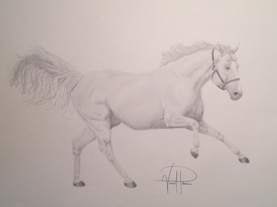 Landscape Drawing - Running Horse by Vincent Palmieri