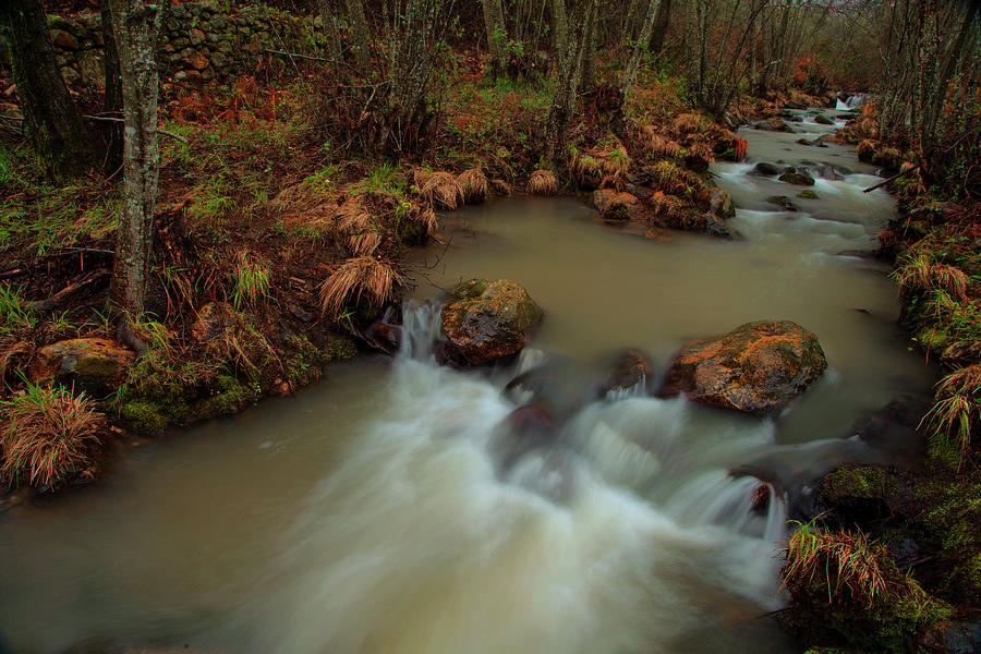 Running Mountain Stream Photograph by Lewis Phillips