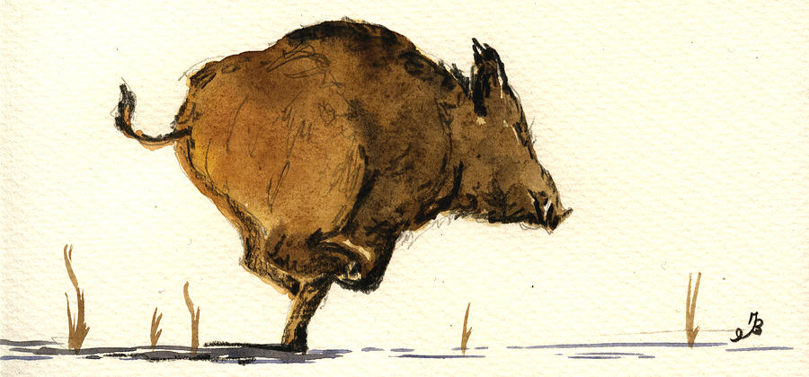 Wildlife Painting - Running wild boar by Juan  Bosco