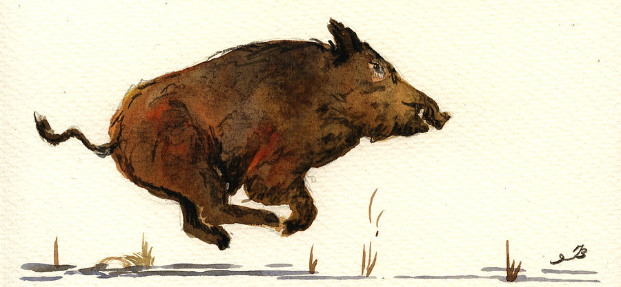 Wildlife Painting - Running wildboar by Juan  Bosco