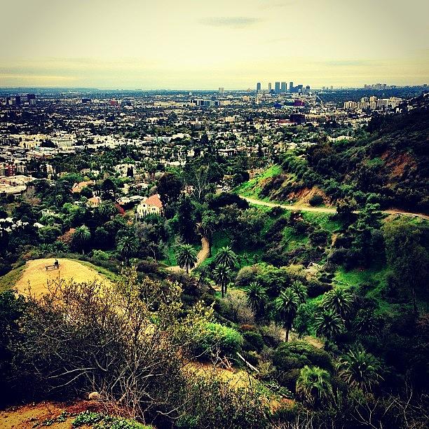 Hollywood Photograph - Runyon by Mike Heslin