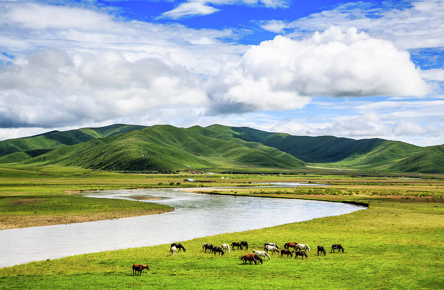 Ruoergai Grassland, Sichuan, China Photograph by Feng Wei Photography