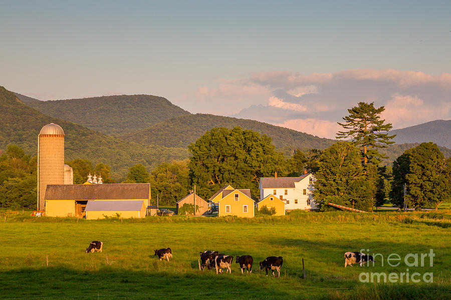 Rupert Vermont Dairy Farm Photograph by Susan Cole Kelly
