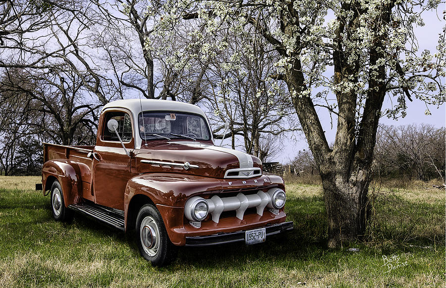 Truck Photograph - Rural 1952 Ford Pickup by Betty Denise