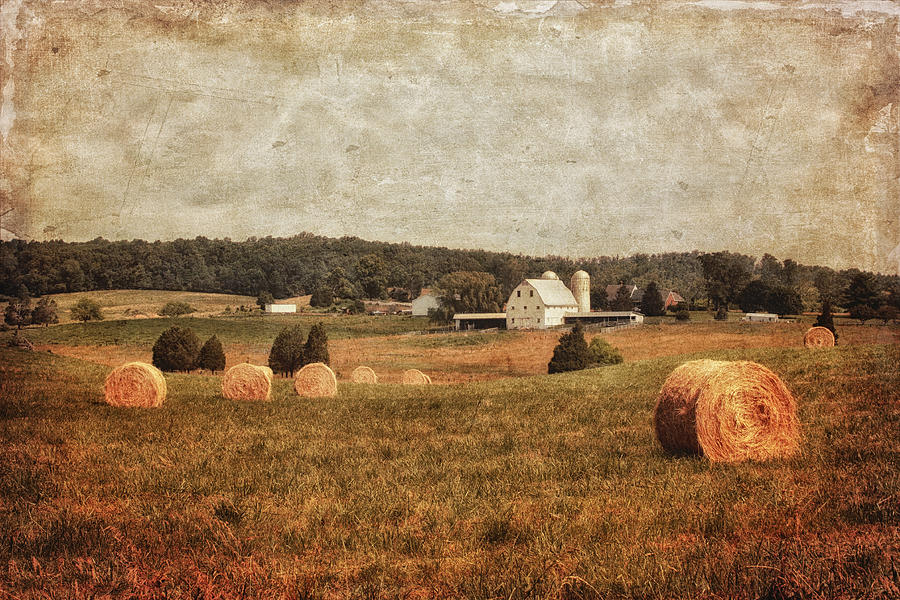 Rural America Photograph by Kim Hojnacki