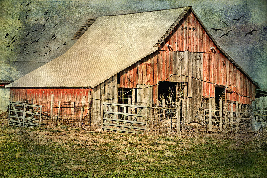 Rural Art  Photograph by Joan Bertucci