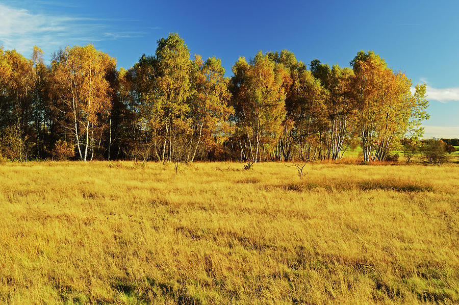 Rural Autumn Scene Photograph by Jochen Schlenker