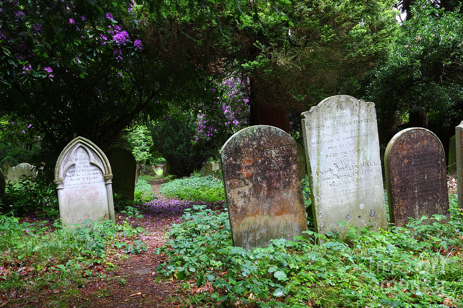 Rural Cemetery Pathway Photograph by James Brunker