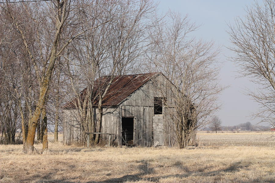 Rural Clark Photograph by Kathryn Cornett