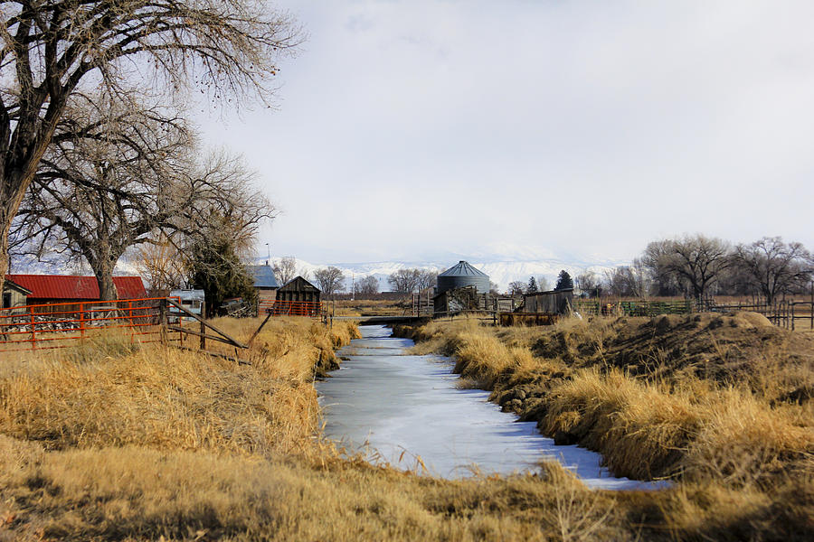 Rural Colorado Photograph by Marta Alfred
