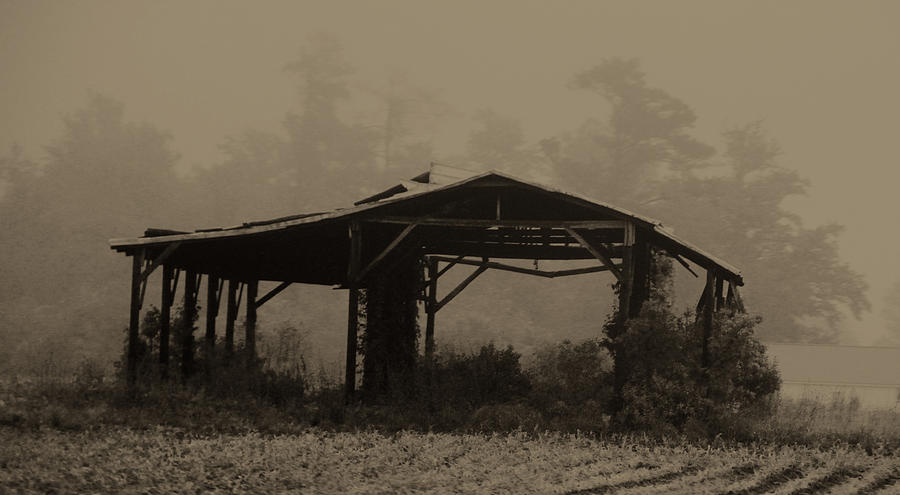 Rural Decay in South Carolina Photograph by Jim Vance
