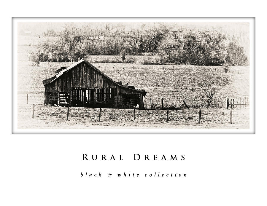 Rural Dreams  black and white collection Photograph by Greg Jackson