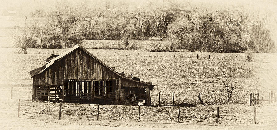 Rural Dreams Photograph by Greg Jackson