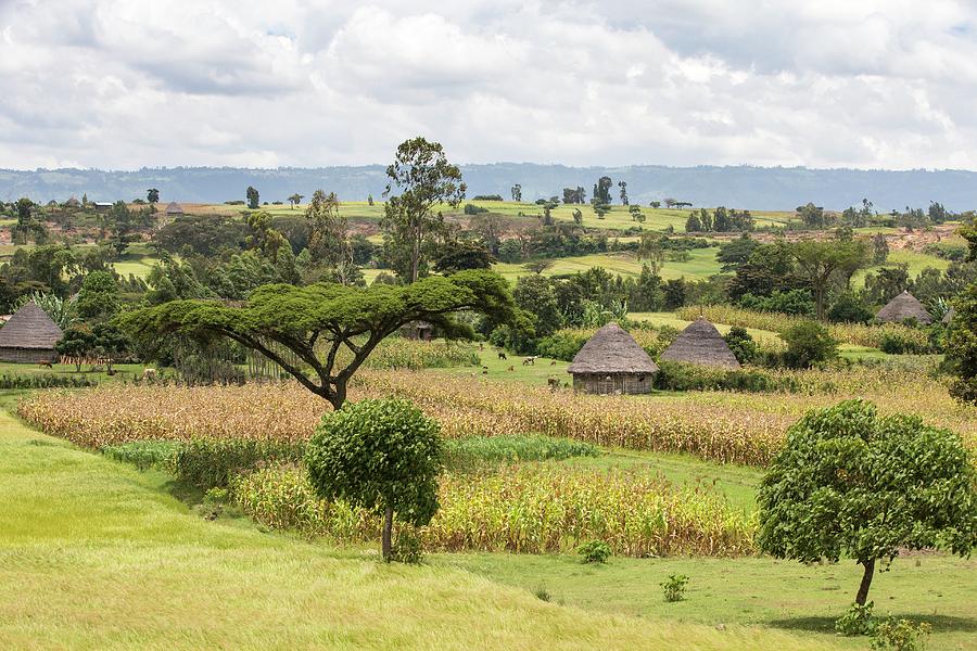 Rural Ethiopian Landscape Photograph by Peter J. Raymond