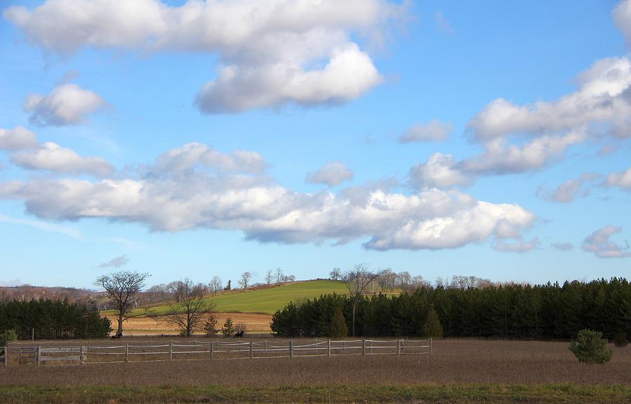 Rural Farmland Photograph by Davandra Cribbie