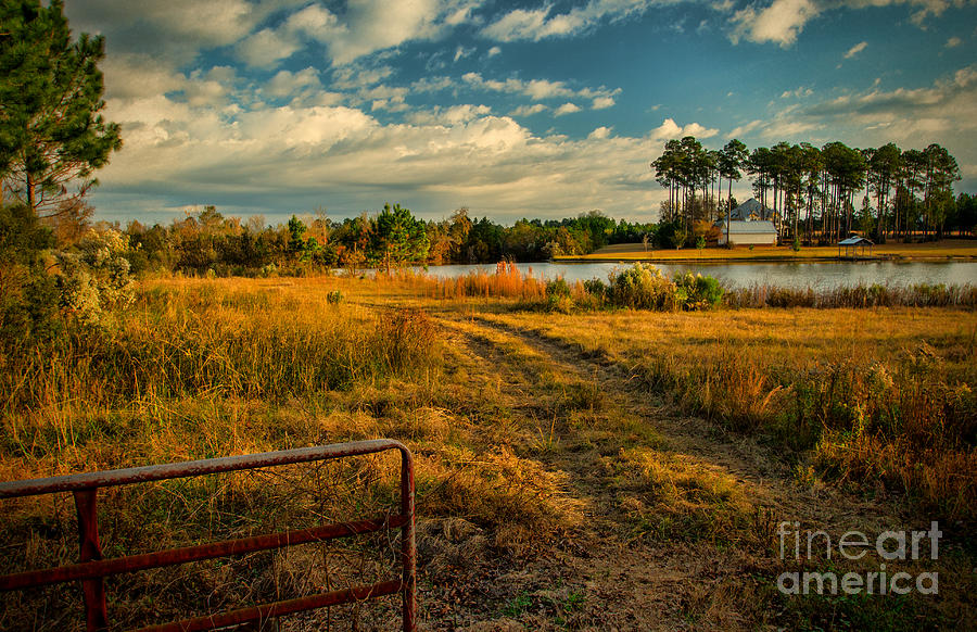 Rural Georgia Photograph by Dave Bosse