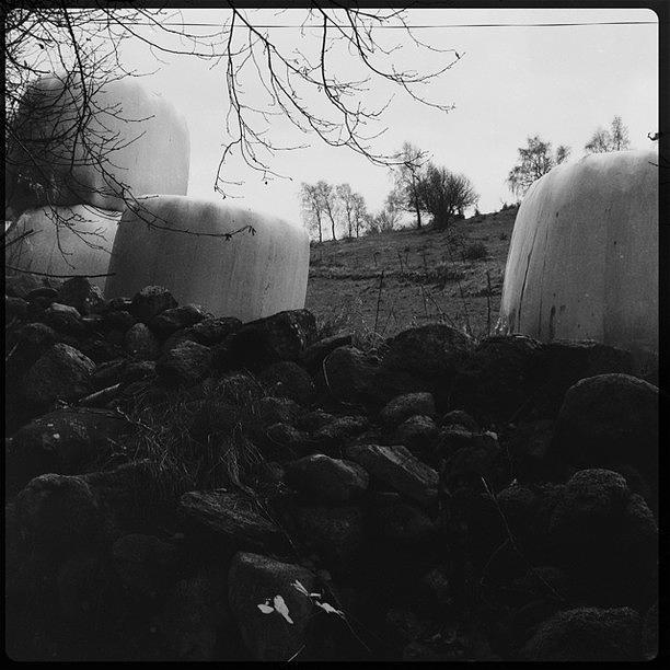 Hipstamatic Photograph - Rural  #hipstamatic #florence #rockbw11 by Laurentia Flote