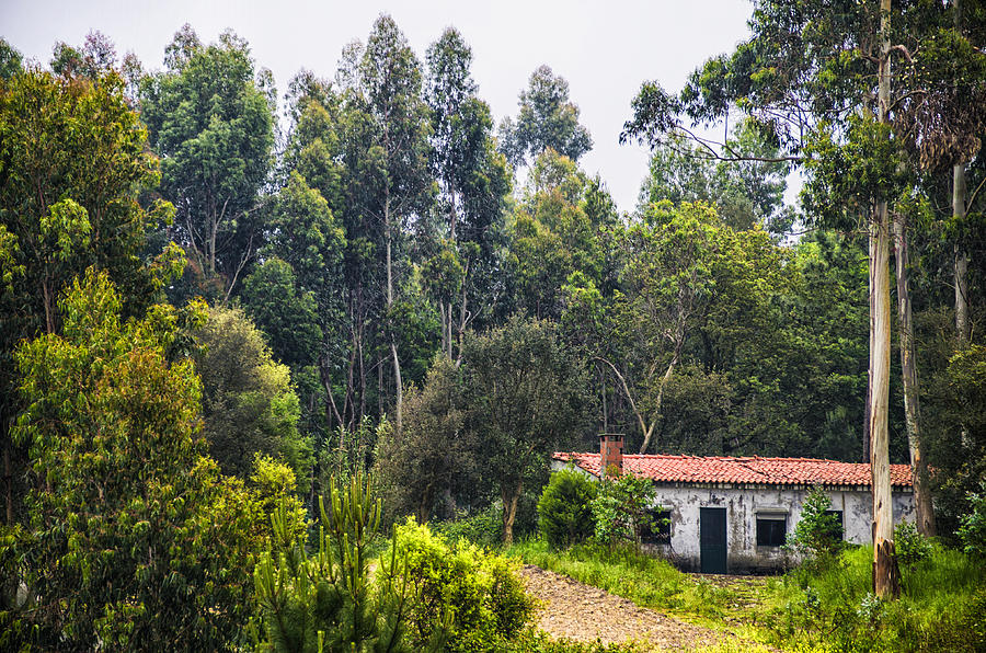 Rural house Photograph by Paulo Goncalves