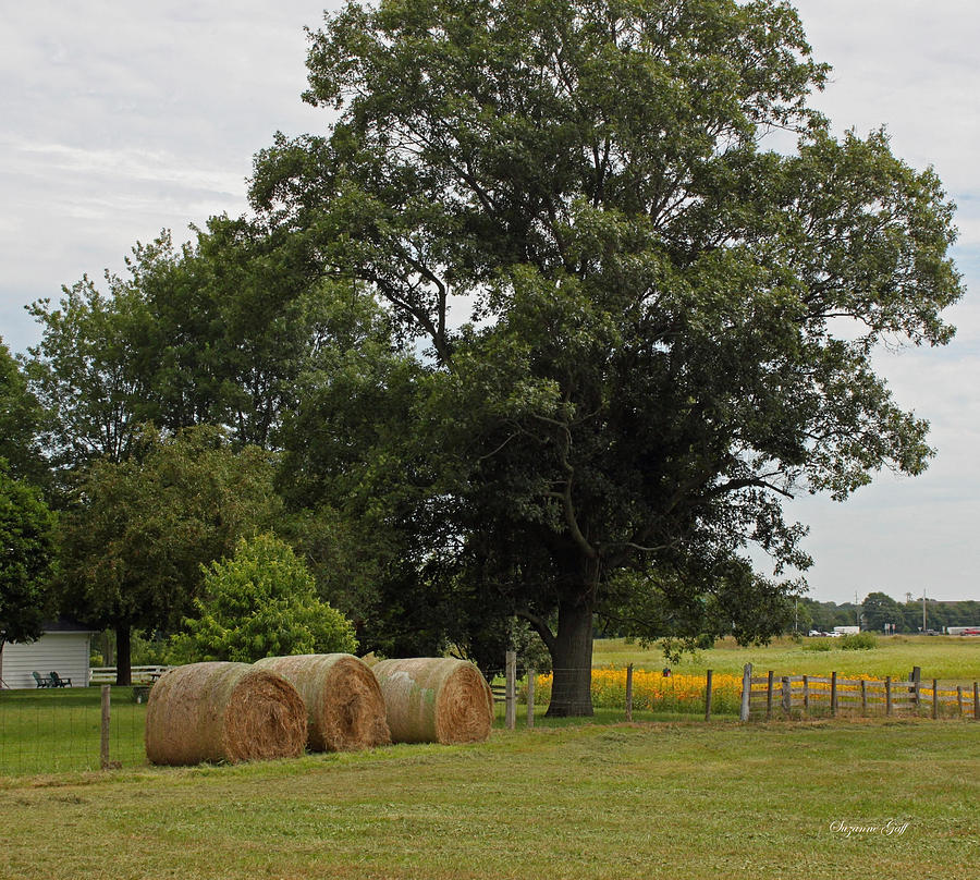 Rural Indiana Scenic - Carroll County Photograph by Suzanne Gaff - Fine ...