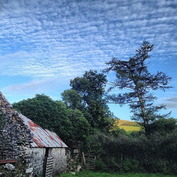 Ireland Photograph - Rural #ireland by David Lynch