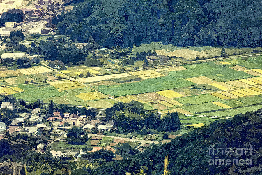 Rural Japan Rice Fields Forest Countryside Village Photograph by Beverly Claire Kaiya