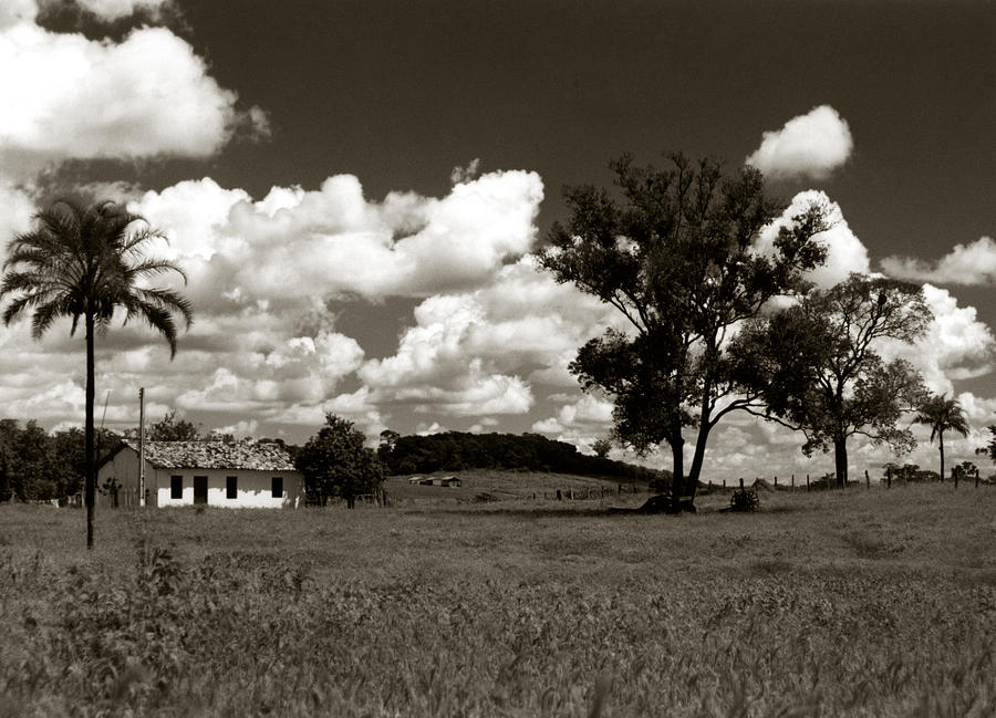 Rural Landscape Photograph by Amarildo Correa