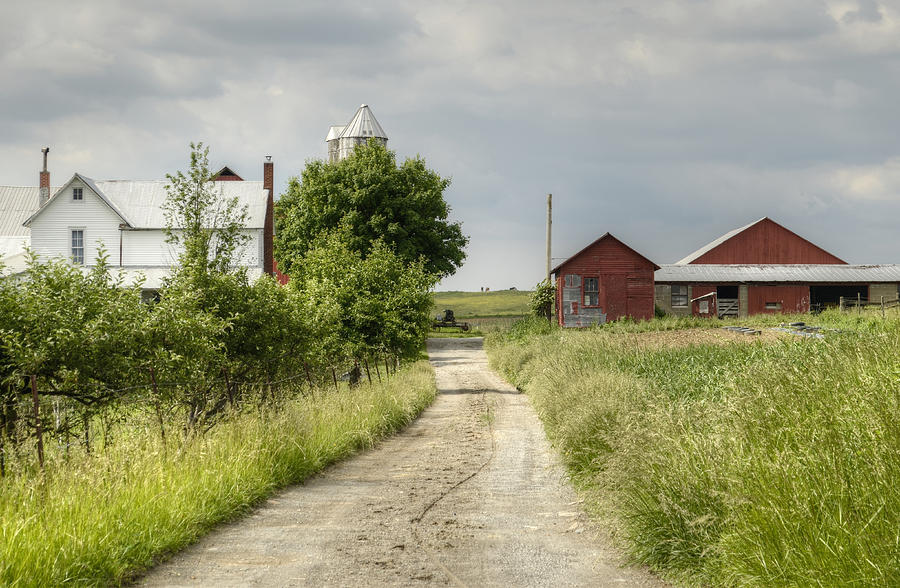 Rural  Landscape Photograph by Ann Bridges
