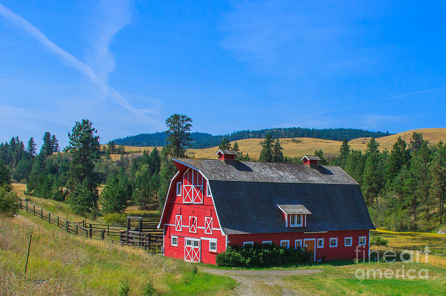 Summer Photograph - Rural Lifestyle by Nancy Chilcott