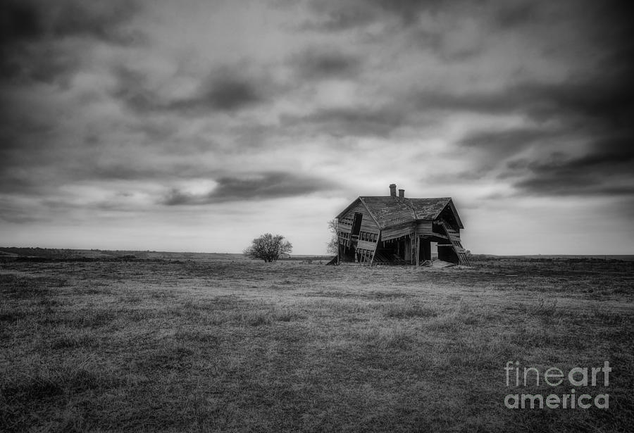 Rural Living Photograph by Fred Lassmann