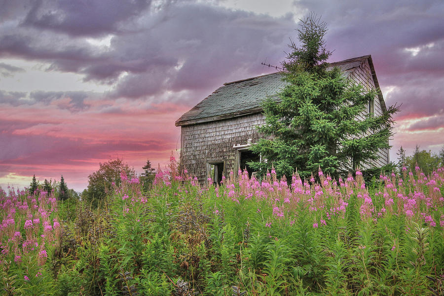 Rural Maine Photograph by Lori Deiter