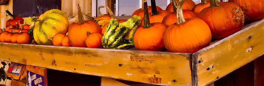 Rural Market Pumpkins and Gourds Photograph by Greg Jackson